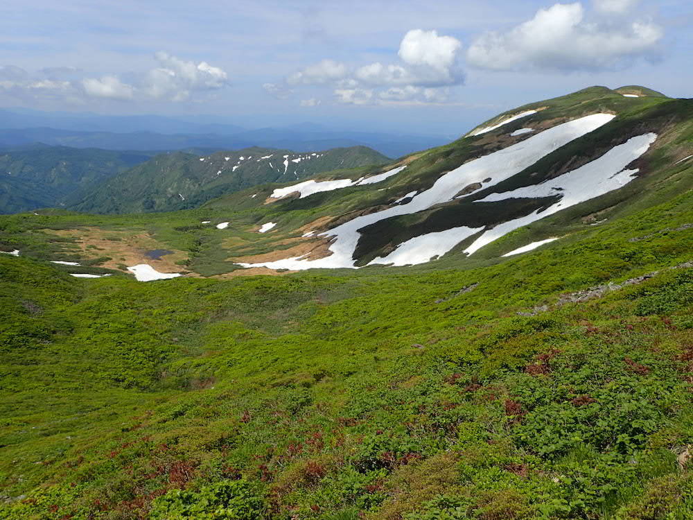 焼石岳　小岩沢の源頭